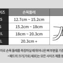 베르사 이미지