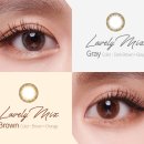 다비치안경 신서귀포이마트 옆점 이미지