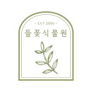 들꽃다육식물