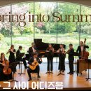 [Playlist] 여름이 스미는 봄 - 모차르트풍 챔버 앙상블 with 마림바 | Spring into Summer 이미지