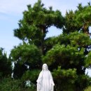 천주교 순례길 - 김대건길 이미지