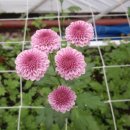 듬뿍농장 이미지