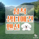 강원도 삼척 애견동반 독채 샘터애견펜션 둥지방 내돈내산 후기