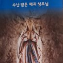 감곡 이미지