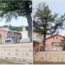 이방초등학교 이미지