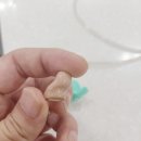 그린보청기 의료기 인천주안센터 이미지