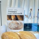 영양빵 | 영양 베이커리 카페 별의 정원 방문 후기｜영양 소금빵 &amp; 애플파이 맛집