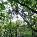 백운산 등산로 이미지