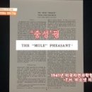 새은평동물의료센터 이미지