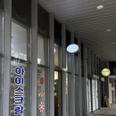 뉴니속눈썹