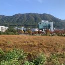 사림로137번길 이미지