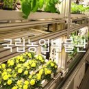 KT성주지사 이미지