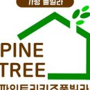 파인트리키즈풀빌라 이미지