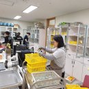 서산서남초등학교 이미지