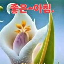 화요일 이미지