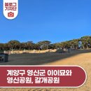 영신군이이묘 이미지