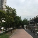 마포-현장-마포-1505 | 2019년 6월 청계천박물관 문화의날 행사 후기