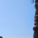 외도보타니아 이미지