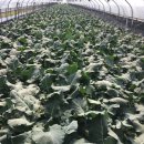 우주상사 이미지