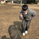 이호농장 이미지