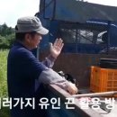 정경식농장 이미지