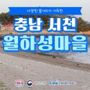 월하성어촌체험휴양마을 이미지