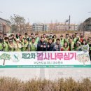 감사나무 이미지