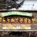 허브농원 이미지