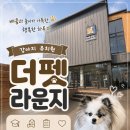 동선유치원 | 성남 애견유치원 더펫라운지, 다견가정이라면 꼭 봐야 할 후기