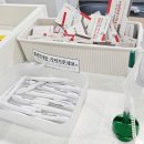 가야오토카 | 롯데렌터카 제주 오토하우스 대여 셀프체크인 후기