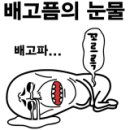 태풍조개구이 이미지