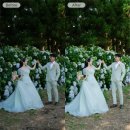 필 모션 이미지