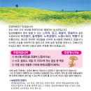 속리산농원 Daum카페