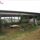 사창축산 이미지