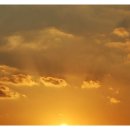 바람따라 이미지