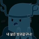 데일리 207 이미지