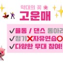 📣 모집중‼️ 충북대학교 약대의 💃율동/댄스 동아리🕺 🌸고운매🌸 를 소개합니다!!! 이미지