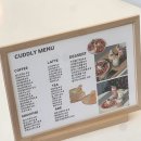 커들리 | [경북/영천] 카페 커들리 후기