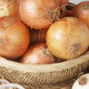 천지농협 엄다지점 이미지