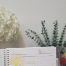 노들썬스테이 | 중앙대병원 근처 숙박 노들썬스테이 후기