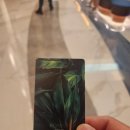 아레나 수영장 | 인천 영종도 인스파이어 호텔 수영장 아레나 스플레시베이 솔직 후기