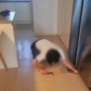 호반베르디움세탁 네이버블로그