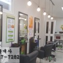 천연염색 헤어샵 이미지