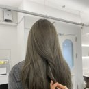 굿데이살롱