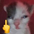 덕천 공중화장실(수세식) | 비행기를 타고가야 갈 수 잇을 텐데 만만치가 않아 울먹울먹1