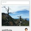 법무법인우리들 이미지