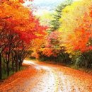세명여행사
