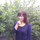 원애농장 네이버블로그