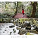 쌍치초등학교 | 雙置初51會 순정회 제주도 겨울여행 2박3일 안내서