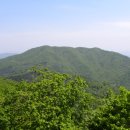 [봄 맞이 산행 공지] 4월4일 일요일 축령산 이미지